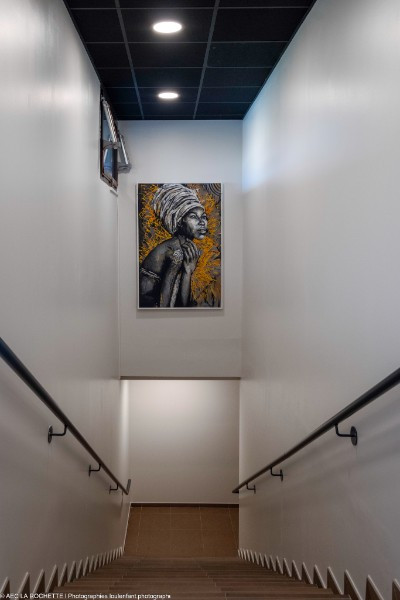 Le Royaume des Lions – Hôtel immersif au cœur de la savane (Lumigny-Nesles-Ormeaux, 77) - Peinturepar AEC