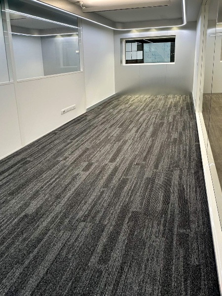 Concession BYD Reims – Travaux de peinture